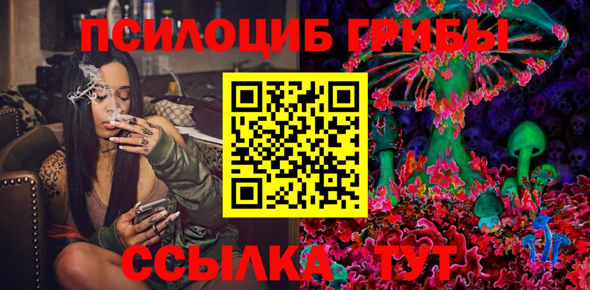 Псилоцибиновые грибы Magic Shrooms  купить наркотики сайты  Новый Уренгой  Галлюциногенные грибы мицелий  Вход с VPN 